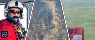 Nu är algblomningen i full gång – se bilderna ovanifrån
