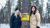 Skogsaktivisterna vaktar länets skogar sedan i sommar • "Vi måste organisera oss och väcka makthavarna"
