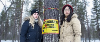 Skogsaktivisterna vaktar länets skogar sedan i sommar • "Vi måste organisera oss och väcka makthavarna"