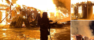 Ladugårdsbrand i Kågemarken – tuppar och höns har brunnit inne: ”Helt övertänt”