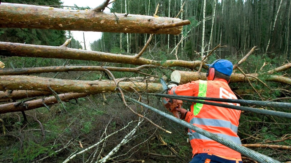 För Sveriges skogsägare kan en storm ödelägga ett helt livsverk, skriver Karin Fällman Lillqvist, hållbarhetschef på Skogssällskapet.