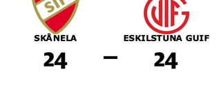 Efterlängtad poäng för Skånela - bröt förlustsviten mot Eskilstuna Guif