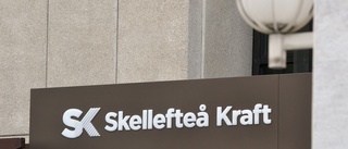 Skellefteå Kraft Sveriges näst mest hållbara elbolag