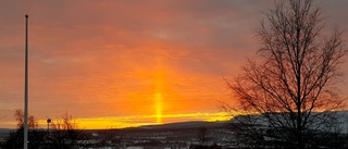 Årets sista solstrålar        