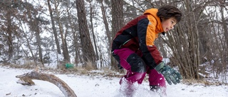 Vinterskoj i backen och på isen