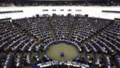 Här är ditt nya Europaparlament