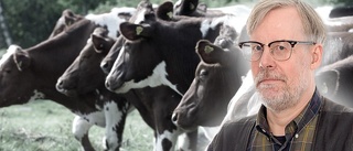 Mikael Bengtsson: Var rädd om din bonde, han behövs