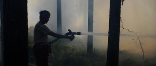 Ny brandstyrka ska bekämpa skogsbränder