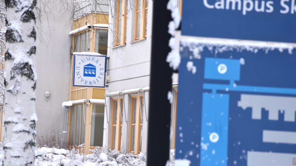 "UmU har haft fem år på sig att göra något för utvecklingen i Skellefteå men inget har hänt."