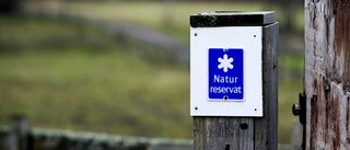 Naturreservaten förvaltas med ett tydligt syfte