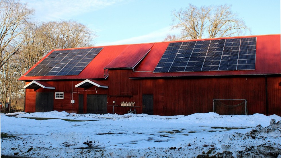 Solcellerna sattes upp på ladugårdstaket förra året. På vintern producerar de relativt lite el. På sommaren är elproduktionen desto större.