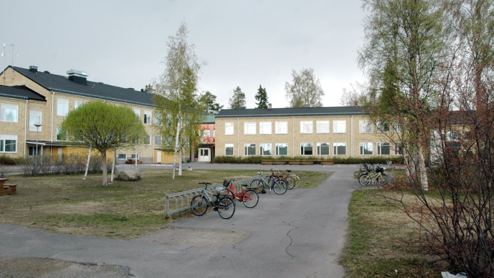 Skribenten är kritisk till mycket kring ombyggnationen av Örjansskolan.
