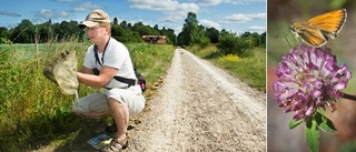 Följ med på en tur längs fjärilsstigen