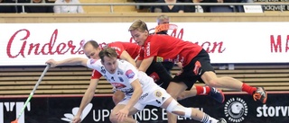 Spelarbetyg: Storvreta–Sirius