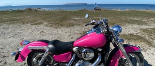 Den rosa motorcykeln ”Pinky” auktioneras ut till förmån för Ukraina • Säljaren: ”Kändes som en självklarhet”