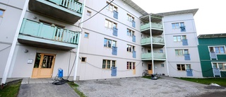 Fler studentbostäder ska byggas på Porsön