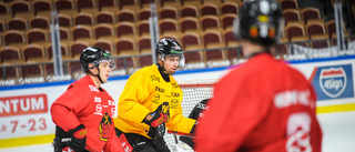 Niklas Olausson i träning med Luleå Hockey: "Magiskt kul"