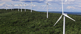 Miljöorganisationer hittar ny väg för att stoppa ny vindkraft
