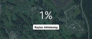 Raytec Aktiebolag: Nu är redovisningen klar - så ser siffrorna ut