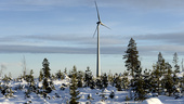 Miljardskadestånd hotar vindkraftspark