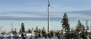 Miljardskadestånd hotar vindkraftspark