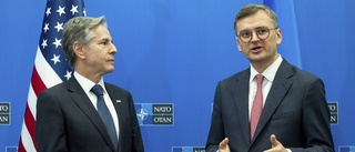 Ukraina knyts närmare till Nato