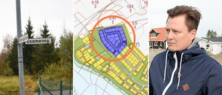 Heavy metal blow: toxic soil halts housing projects in Skellefteå