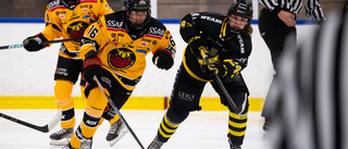 Direkt: Följ AIK-Luleå Hockey/MSSK här!