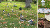 Kommunen tar över djurkyrkogården: "Inga nya begravningar"