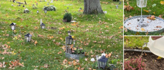 Kommunen tar över djurkyrkogården: "Inga nya begravningar"