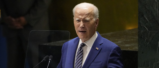 Biden: Tillåt inte att Ukraina delas upp