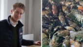Risk för kräftbrist i ovädrets spår – "Ingen ute och fiskar idag"