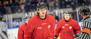 Han stannar i Piteå Hockey – förlänger avtalet till 2027