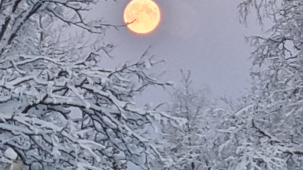 Läsarbild: Fullmåne i Kiruna
