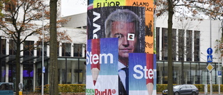 Wilders växer i nederländsk valspurt