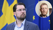 Många problem med Åkessons förslag om att återkalla medborgarskap