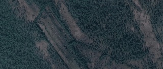 Skogen på Hällberg 6 i Abborrträsk har bytt ägare