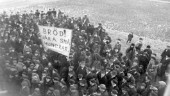 1917: När brödet tryter