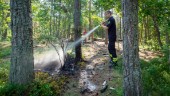 Stor brandrisk i skog och mark – brandmän fick släcka bränder vid grillplatser på Arnö och Jogersö