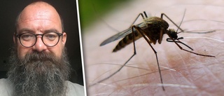 Aggressiva myggor angriper Sörmland: ✓Attackerar i svärm ✓Sticken kan ge väldiga utslag ✓"Flyger rakt på och biter"