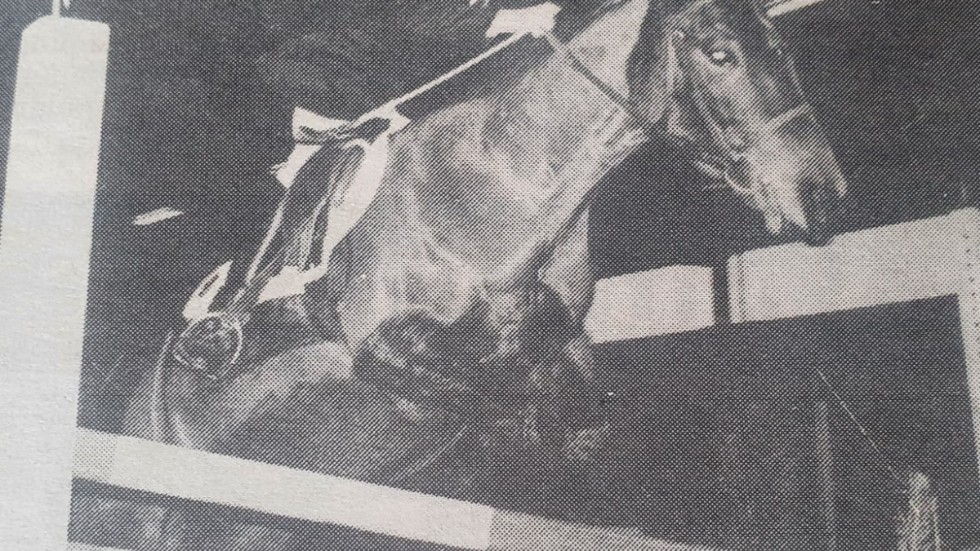 Sveriges främsta ponnyryttare tävlingshoppade på Borg 1982, med flera Vimmerbytjejer bland ekipagen.
