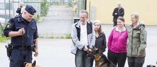 Hundparken kan följas av fler