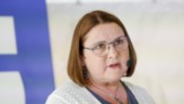 Fler utomeuropeiska kvinnor ska ut i jobb