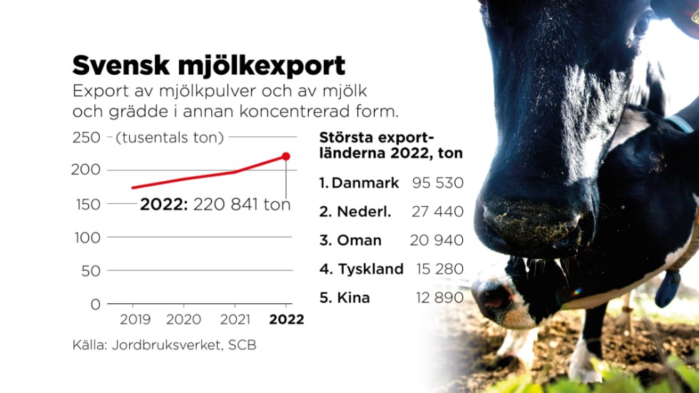 Export av mjölkpulver och av mjölkoch grädde i annan koncentrerad form ökar. I takt med att svenska konsumenter i hög grad väljer importerad ost, blir pulverexporten desto viktigare för mejerier och lantbrukare.