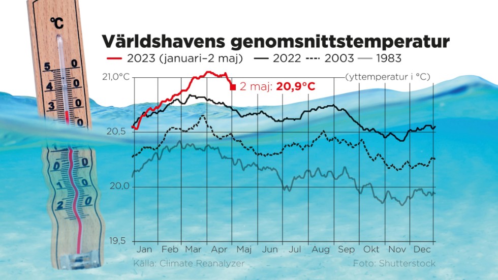 Årliga variationer för världshavens genomsnittstemperatur.