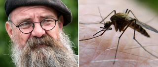 De blir värst drabbade av myggplågan – och det här ska du undvika