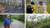 Efter naturvårdsbränningarna: Nytt liv och unika fynd 