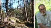 Tallskog där hasselsnokar trivs skyddas i Arkösund