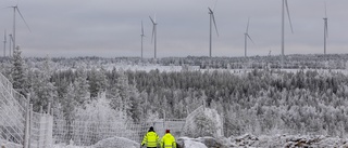 Ny vindkraft sänker elnotan med 5,7 miljarder i länet