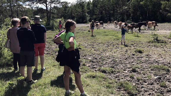 Guidade turer i Russparken